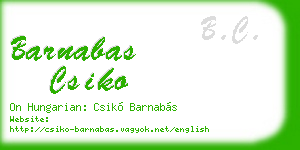 barnabas csiko business card